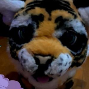 Meet your Posher, Tracie